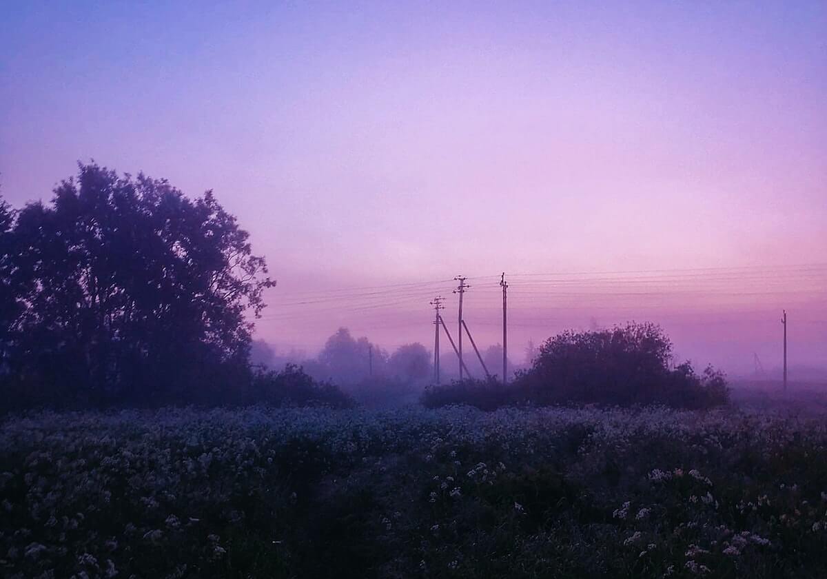 APP下载的力量：用一款应用改变日常